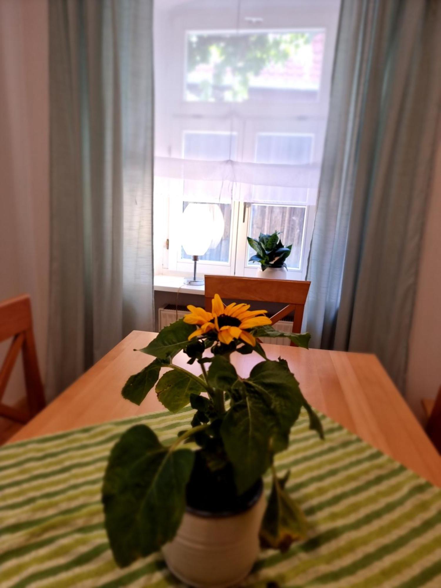 Ferienwohnung Boehm Segnitz 객실 사진